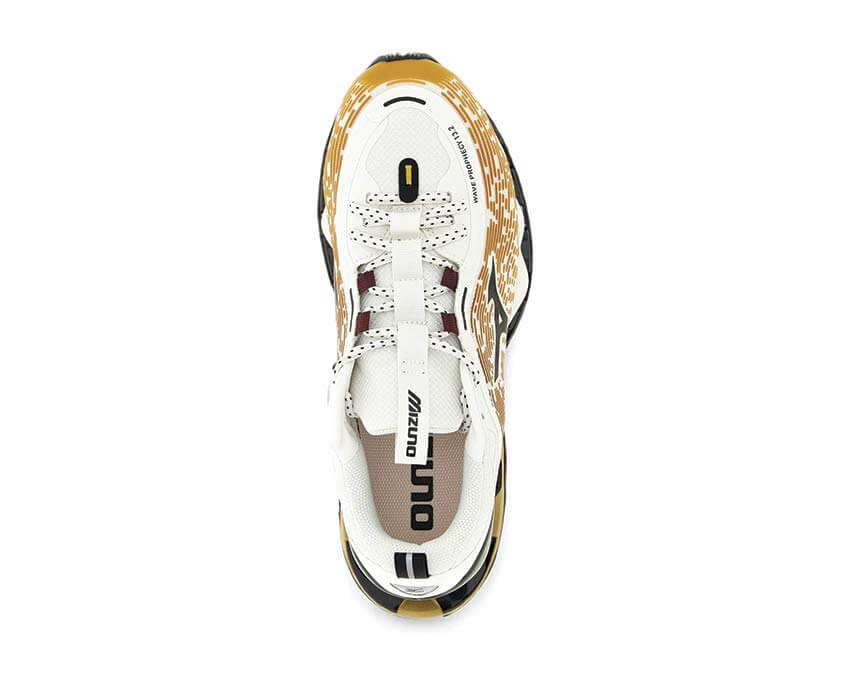 Mizuno Wave Prophecy 13.2 D1GA260H02