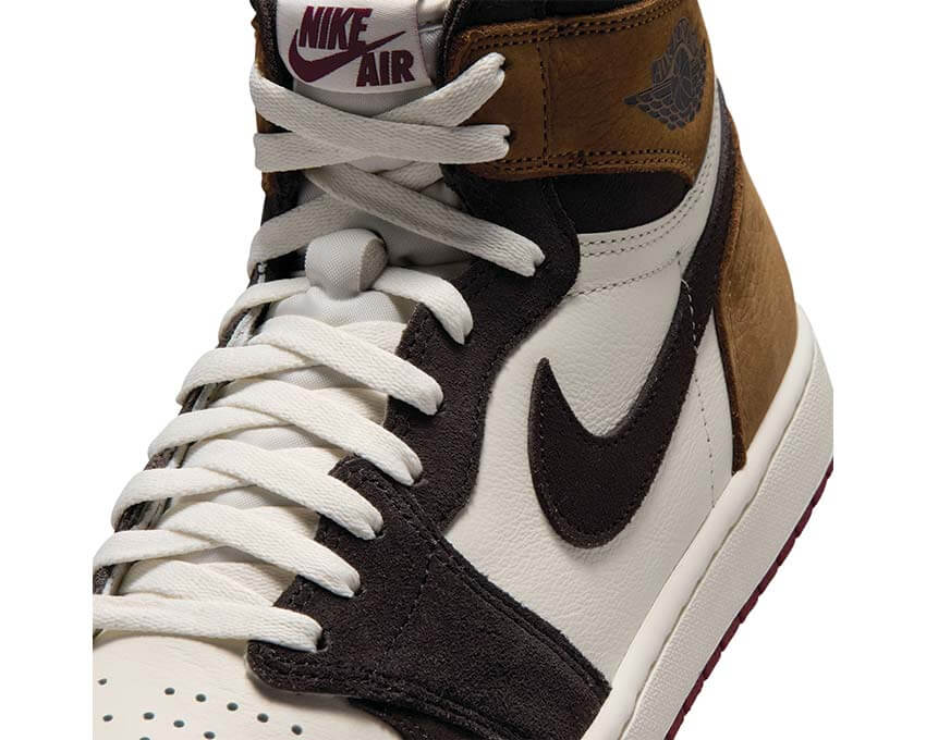 Air Jordan 1 Retro High OG DZ5485-201