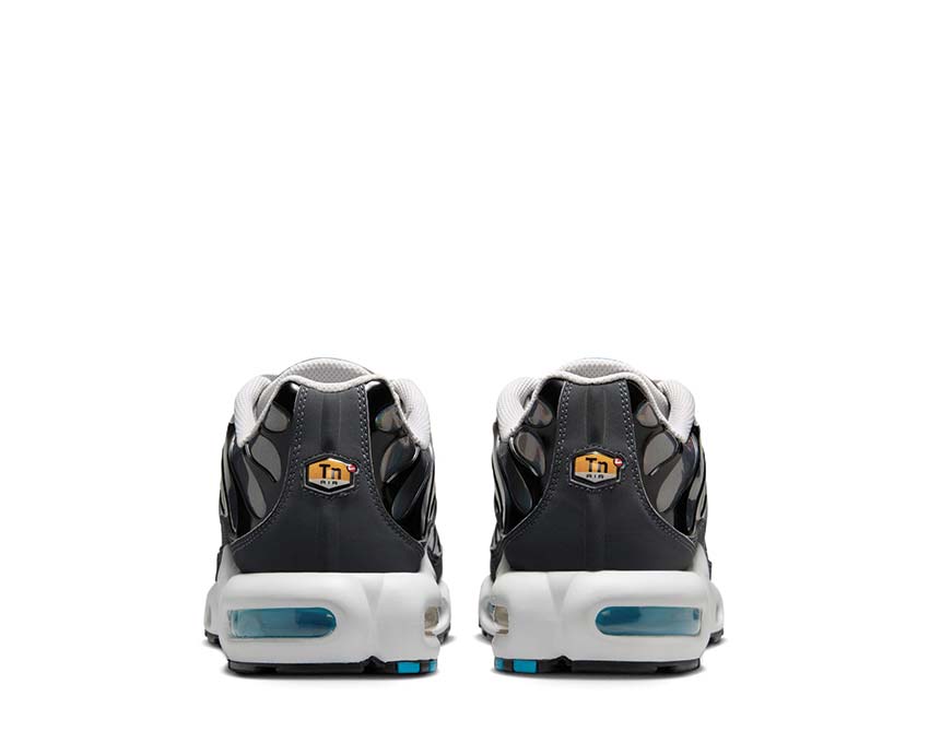 Nike Air Max Plus  HV2525-001