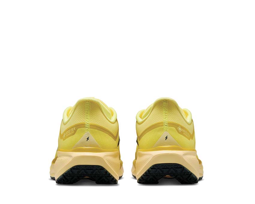 Nike Air Zm Pegasus 41 Gtx FQ1356-700