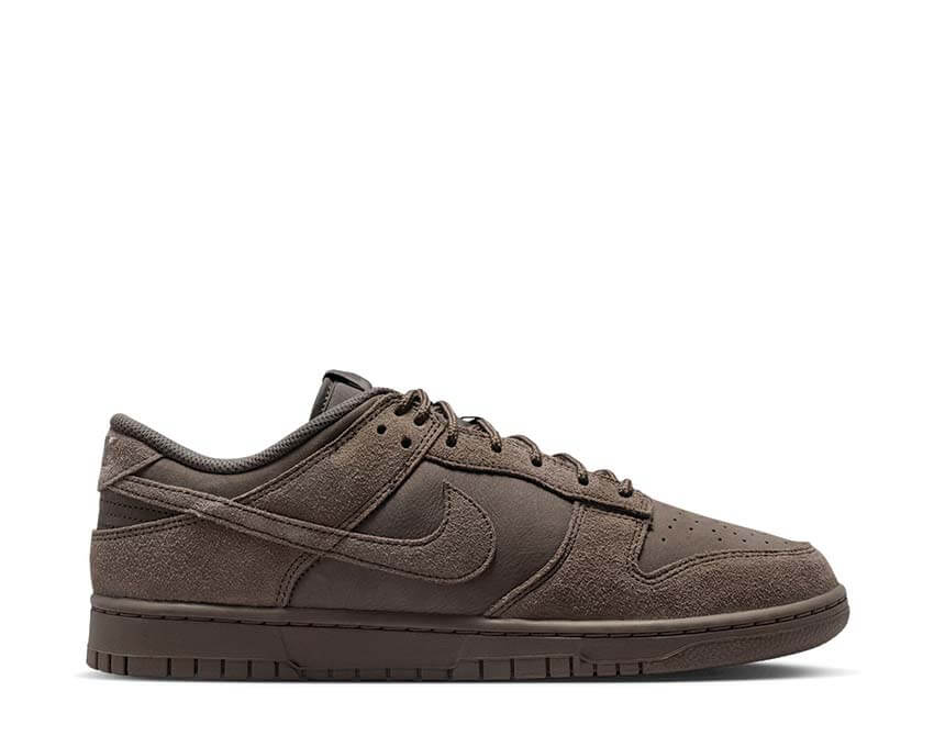 Nike Dunk Low Retro SE IB6651-200