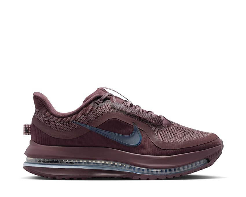 Nike Pegasus Premium W HQ2593-502