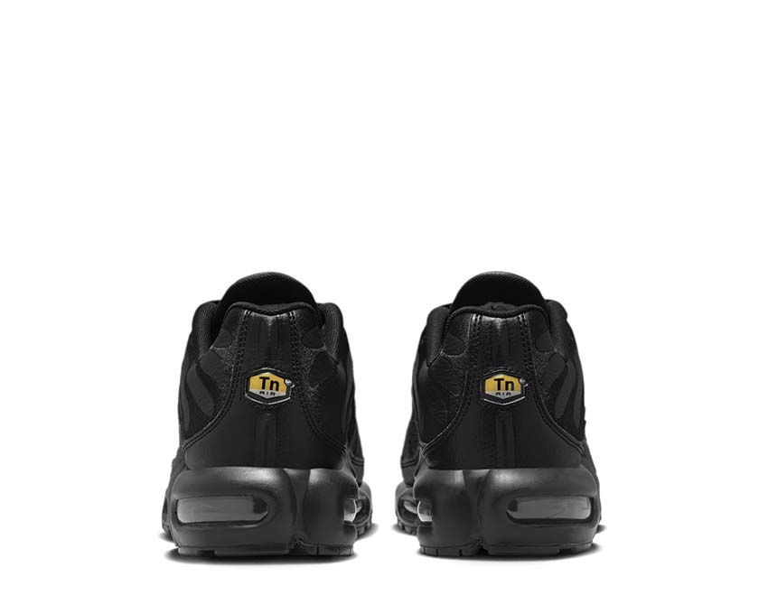 Nike Air Max Plus Black / Black - Black AJ2029-001