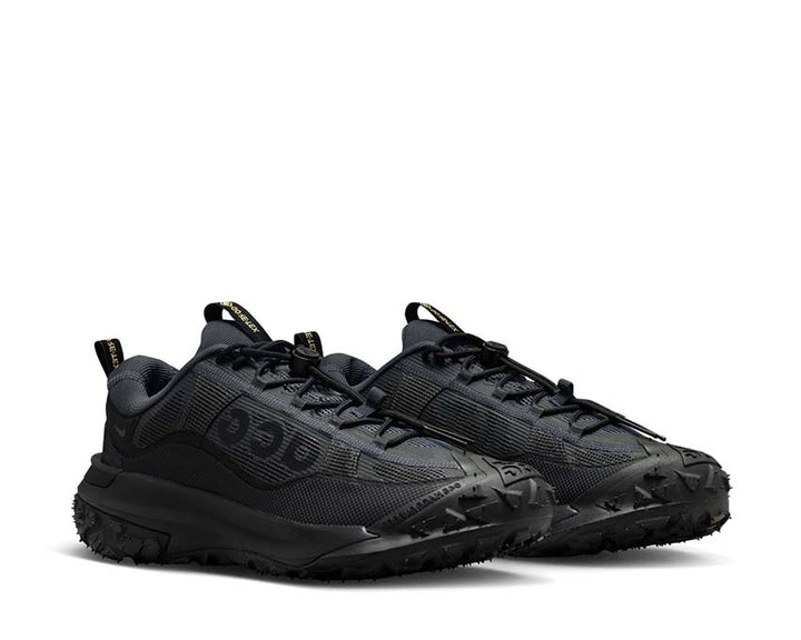 Nike ACG Mountain Fly 2 Low Gore-Tex DK Smoke Grey / Black - Anthracite HF6245-001